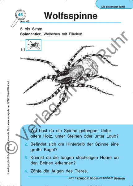 Produktbild: Tiere in Kompost, Boden und morschen B&auml;umen