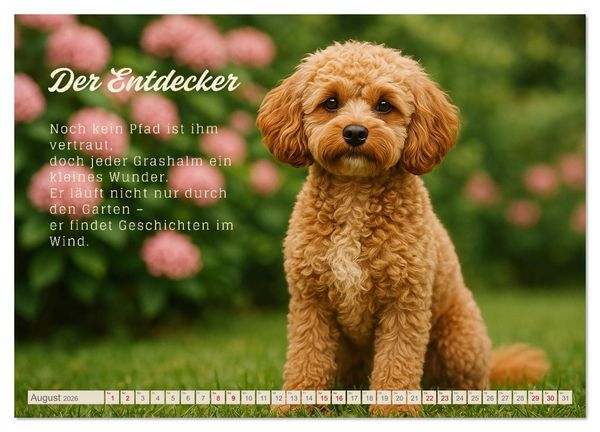Produktbild: Hunde mit Charakter (Wandkalender 2026 DIN A2 quer), CALVENDO Monatskalender