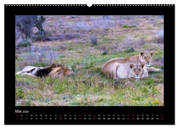 Produktbild: S&uuml;dafrika - Garden Route (hochwertiger Premium Wandkalender 2026 DIN A2 quer), Kunstdruck in Hochglanz