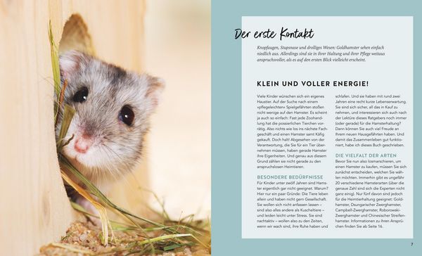 Produktbild: Hamster