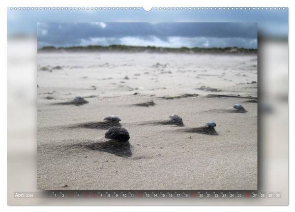 Produktbild: Baltrum - Ein Tag am Strand (hochwertiger Premium Wandkalender 2026 DIN A2 quer), Kunstdruck in Hochglanz