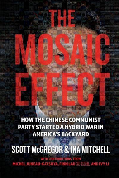 Produktbild: The Mosaic Effect