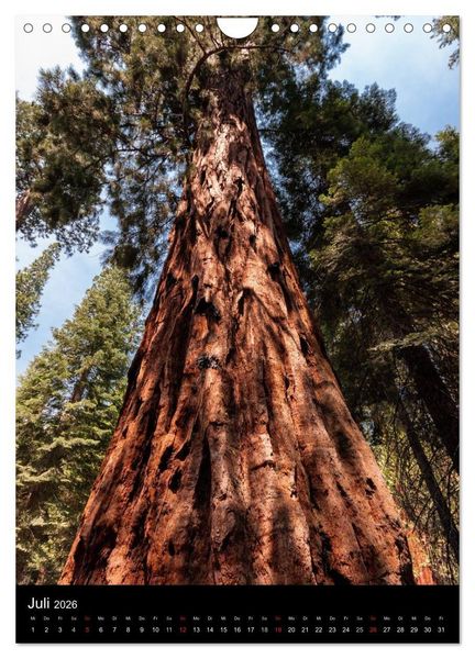 Produktbild: Idylle Pur - Der Yosemite National Park (Wandkalender 2026 DIN A4 hoch), CALVENDO Monatskalender