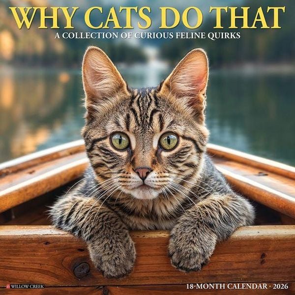 Produktbild: Why Cats Do That 2026 Wall Calendar