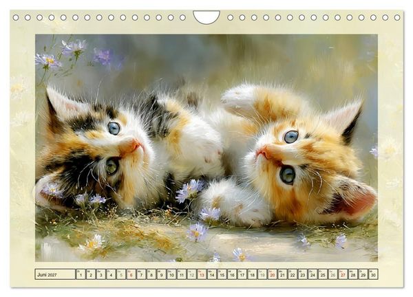 Produktbild: Katzenbabys. Flauschige Gl&uuml;cksmomente (Wandkalender 2027 DIN A4 quer), CALVENDO Monatskalender