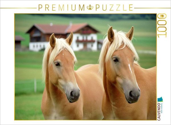 Produktbild: CALVENDO Puzzle Haflinger Pferde - Freunde | 1000 Teile Lege-Gr&ouml;&szlig;e 64x48cm Foto-Puzzle f&uuml;r gl&uuml;ckliche Stunden
