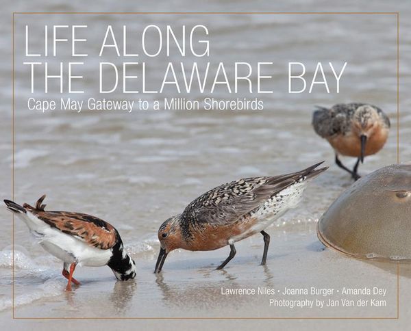 Produktbild: Life Along The Delaware Bay