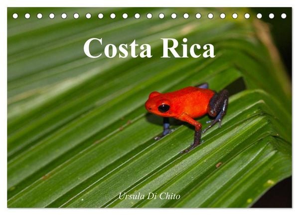 Produktbild: Costa Rica (Tischkalender 2026 DIN A5 quer), CALVENDO Monatskalender