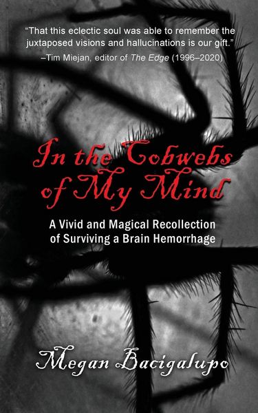 Produktbild: In the Cobwebs of My Mind