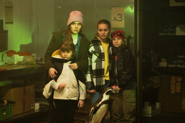Produktbild: Die Chaosschwestern und Pinguin Paul