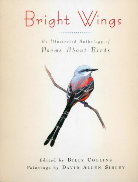 Produktbild: Bright Wings