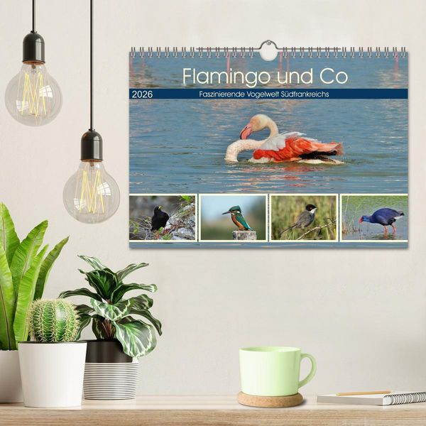 Produktbild: Flamingo und Co - Faszinierende Vogelwelt S&uuml;dfrankreichs (Wandkalender 2026 DIN A4 quer), CALVENDO Monatskalender