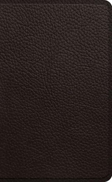 Produktbild: ESV Pocket Bible