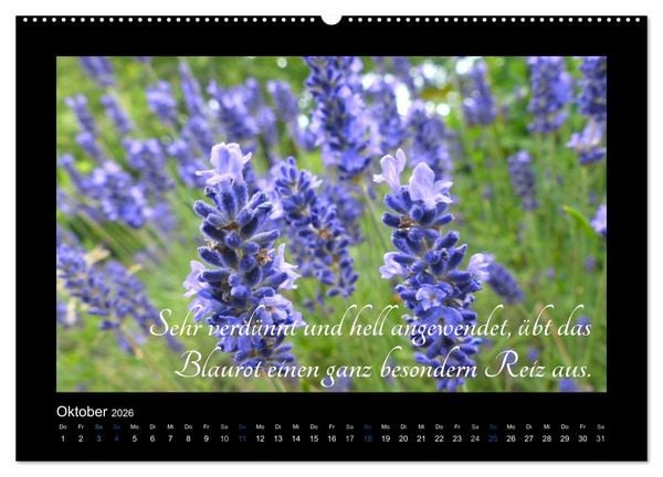 Produktbild: Goethes Blau. Gedanken zur Farbe (Wandkalender 2026 DIN A2 quer), CALVENDO Monatskalender