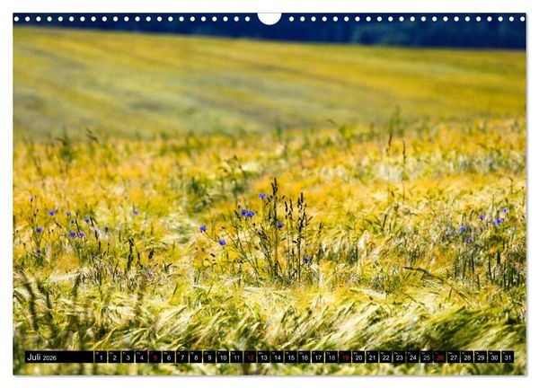 Produktbild: Sch&ouml;ne Landschaften der Oberlausitz (Wandkalender 2026 DIN A3 quer), CALVENDO Monatskalender