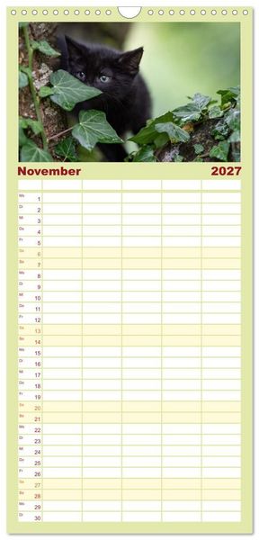 Produktbild: Familienplaner 2027 - Kitten auf Entdeckungsreise mit 5 Spalten (Wandkalender, 21 x 45 cm) CALVENDO
