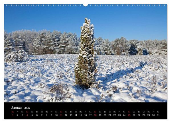Produktbild: Hansestadt L&uuml;neburg und L&uuml;neburger Heide (hochwertiger Premium Wandkalender 2026 DIN A2 quer), Kunstdruck in Hochglanz