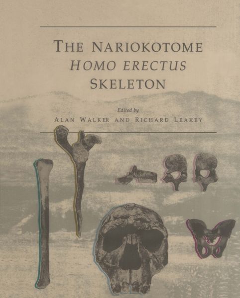Produktbild: The Nariokotome Homo Erectus Skeleton