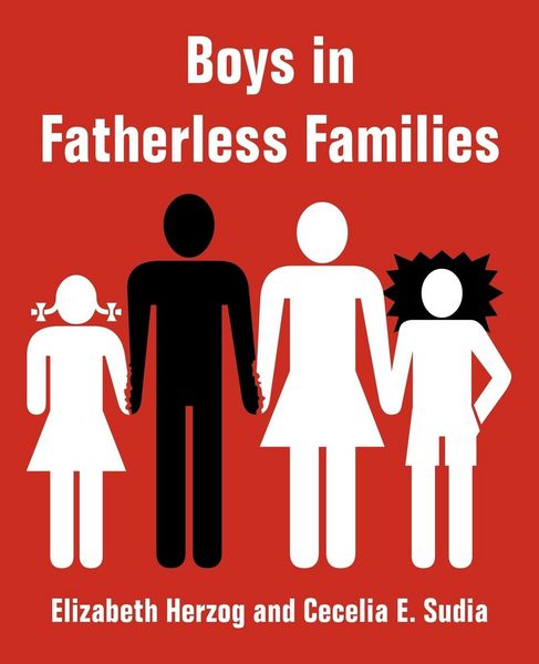 Produktbild: Boys in Fatherless Families