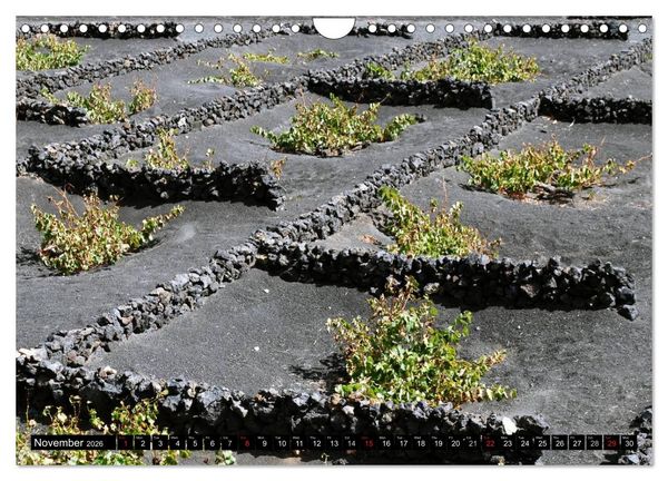 Produktbild: Lanzarote - Canary Islands (Wall Calendar 2026 DIN A4 landscape), CALVENDO 12 Month Wall Calendar