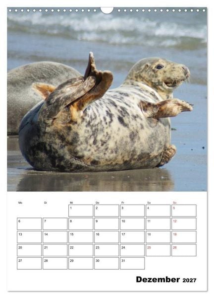 Produktbild: Liebenswerte Robben (Wandkalender 2027 DIN A3 hoch), CALVENDO Monatskalender