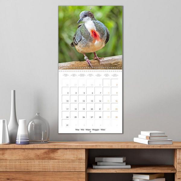 Produktbild: Doves: Gentle Beauty (Wall Calendar 2027 12 &times; 12 Inch) CALVENDO 12 Month Wall Calendar
