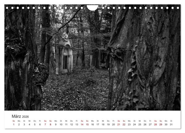 Produktbild: Wachgek&uuml;sst - Vom Zauber der Vergangenheit - S&uuml;dwestkirchhof Stahnsdorf (Wandkalender 2026 DIN A4 quer), CALVENDO Monatskalender