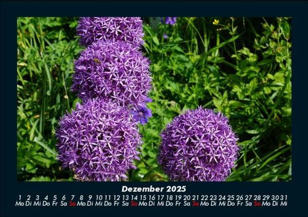 Produktbild: Blumenkalender 2025 Fotokalender DIN A5