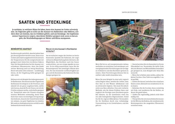 Produktbild: Hochbeet - einfach g&auml;rtnern und ertragreich ernten
