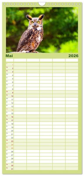 Produktbild: Familienplaner 2026 - Eulen - Wachsame und geheimnisvolle Augen mit 5 Spalten (Wandkalender, 21 x 45 cm) CALVENDO