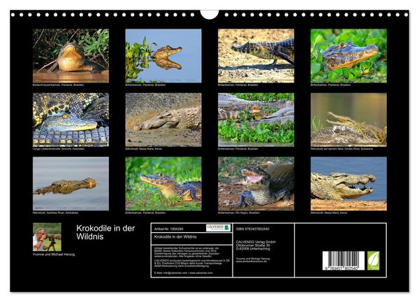 Produktbild: Krokodile in der Wildnis (Wandkalender 2026 DIN A3 quer), CALVENDO Monatskalender