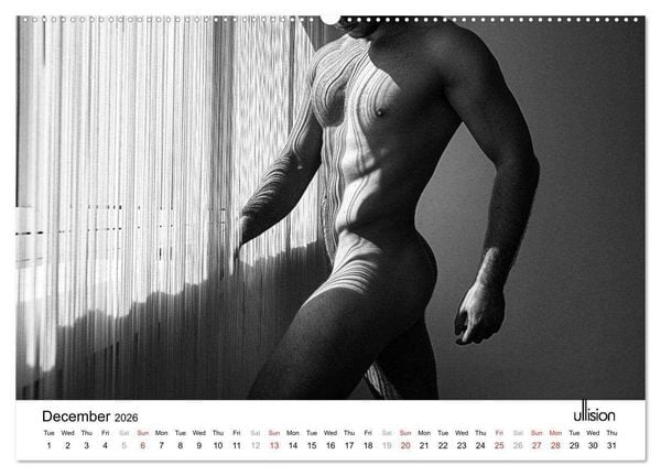 Produktbild: Male Nude Art (High Quality Premium Wall Calendar 2026 DIN A2 landscape),CALVENDO 12 Month Wall Calendar