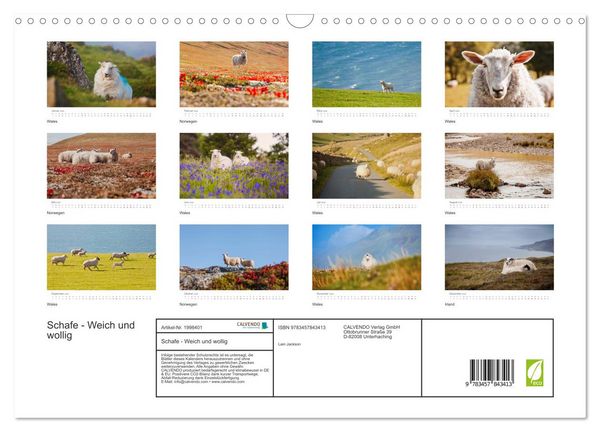 Produktbild: Schafe - Weich und wollig (Wandkalender 2026 DIN A3 quer), CALVENDO Monatskalender