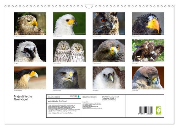 Produktbild: Majest&auml;tische Greifv&ouml;gel (Wandkalender 2026 DIN A3 quer), CALVENDO Monatskalender