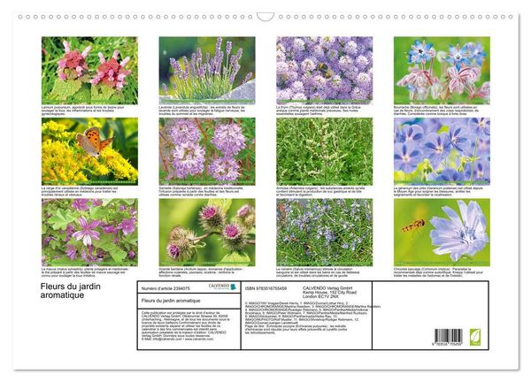 Produktbild: Fleurs du jardin aromatique (Calendrier mural 2027 DIN A2 vertical), CALVENDO calendrier mensuel