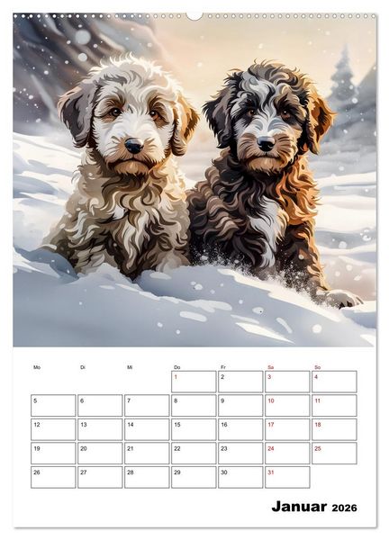 Produktbild: Aussiedoodle - Hunde zum Liebhaben (hochwertiger Premium Wandkalender 2026 DIN A2 hoch), Kunstdruck in Hochglanz