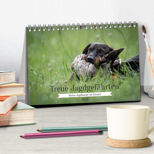 Produktbild: Treue Jagdgef&auml;hrten - Kleine Jagdhunde im Einsatz (Tischkalender 2026 DIN A5 quer), CALVENDO Monatskalender
