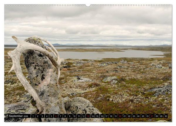 Produktbild: Streifzug durch Norwegens Hardangervidda (hochwertiger Premium Wandkalender 2026 DIN A2 quer), Kunstdruck in Hochglanz