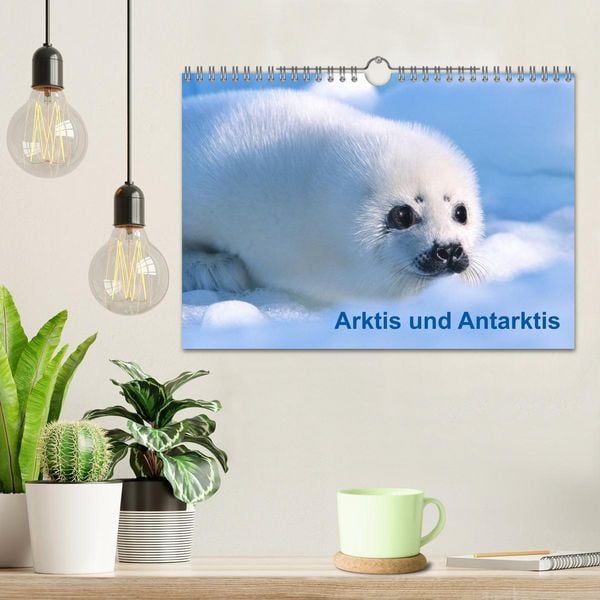 Produktbild: Arktis und Antarktis (Wandkalender 2026 DIN A4 quer), CALVENDO Monatskalender