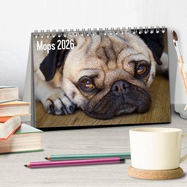 Produktbild: Mops 2026 (Tischkalender 2026 DIN A5 quer), CALVENDO Monatskalender