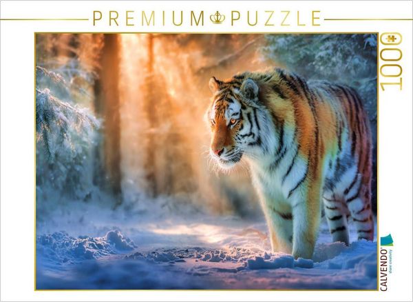 CALVENDO Puzzle Zwischen Licht und Schatten | 1000 Teile Lege-Größe 64x48cm Foto-Puzzle für glückliche Stunden