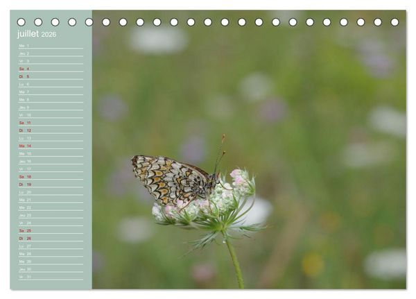 Produktbild: Merveilleux papillons (Calendrier de bureau 2026 DIN A5 vertical), CALVENDO calendrier mensuel