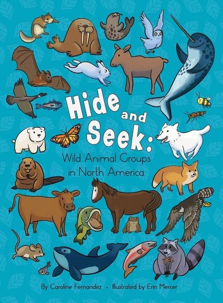 Produktbild: Hide and Seek