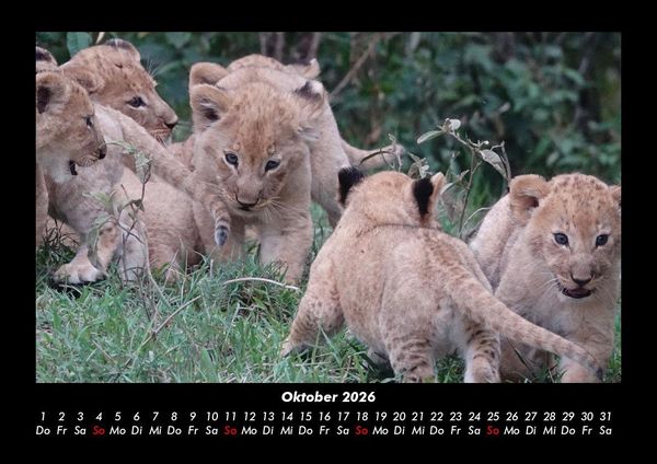 Produktbild: Der Tierkalender 2026 Fotokalender DIN A3