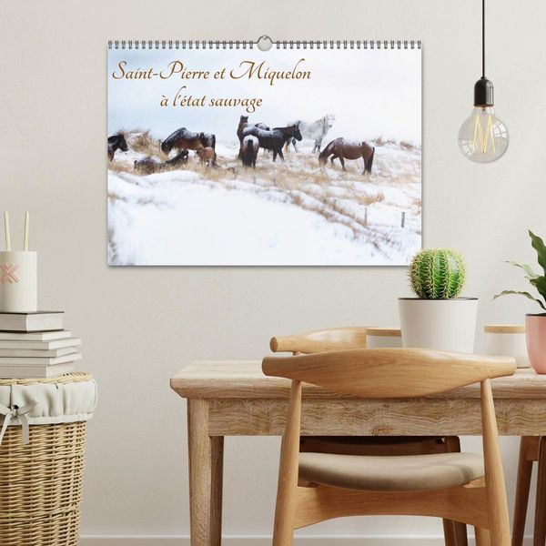 Produktbild: Saint-Pierre et Miquelon &agrave; l'&eacute;tat sauvage (Calendrier mural 2026 DIN A3 vertical), CALVENDO calendrier mensuel