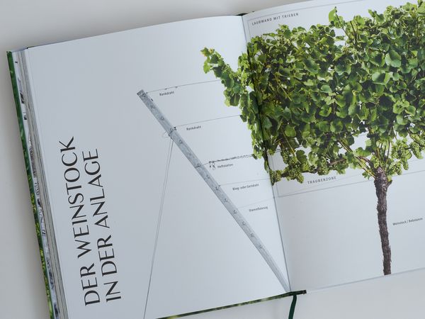 Produktbild: Die Weinmacher