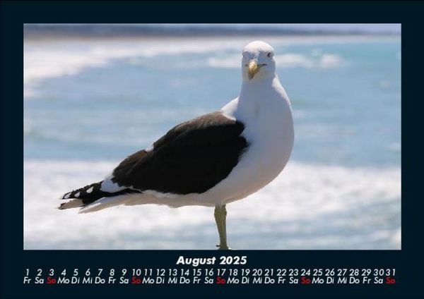 Produktbild: Vogelparadies 2025 Fotokalender DIN A5