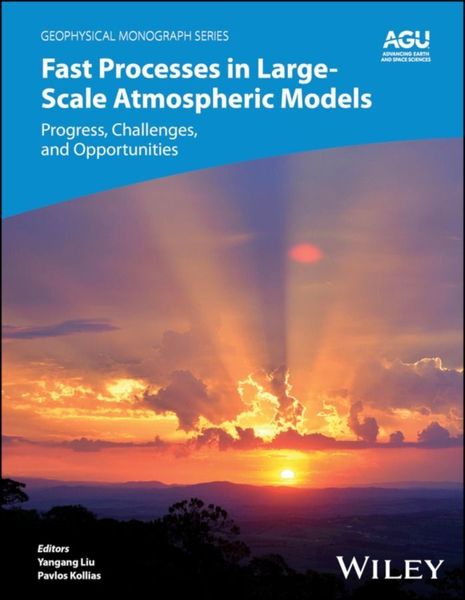 Produktbild: Fast Processes in Large-Scale Atmospheric Models
