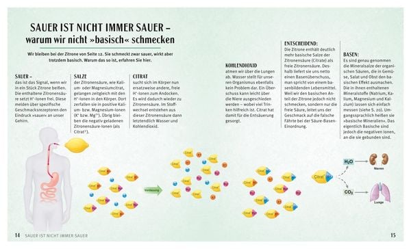 Produktbild: S&auml;ure-Basen-Kochbuch