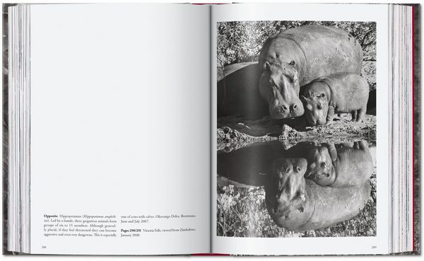 Produktbild: Sebasti&atilde;o Salgado